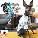 ペット服 アロハシャツ 犬 | PlusNao | 詳細画像1