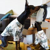 ペット服 アロハシャツ 犬 | PlusNao | 詳細画像3