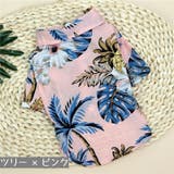 ペット服 アロハシャツ 犬 | PlusNao | 詳細画像9