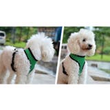 犬用ハーネス 単品 胴輪 | PlusNao | 詳細画像2 