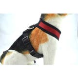 犬用ハーネス 単品 胴輪 | PlusNao | 詳細画像4 