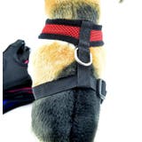 犬用ハーネス 単品 胴輪 | PlusNao | 詳細画像6 