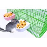フードボウル 小動物用 ハムスター用 | PlusNao | 詳細画像2 