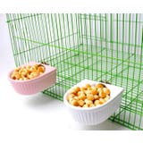 フードボウル 小動物用 ハムスター用 | PlusNao | 詳細画像6 