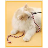 猫じゃらし 猫用おもちゃ ペット用品 | PlusNao | 詳細画像2 
