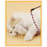 猫じゃらし 猫用おもちゃ ペット用品 | PlusNao | 詳細画像3 