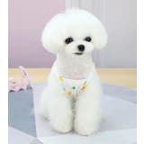 ペットウェア ドッグウェア 犬服 | PlusNao | 詳細画像4 