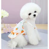 ペットウェア ドッグウェア 犬服 | PlusNao | 詳細画像6 