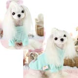 ドッグウェア カットソー Tシャツ | PlusNao | 詳細画像2