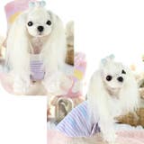 ドッグウェア カットソー Tシャツ | PlusNao | 詳細画像4