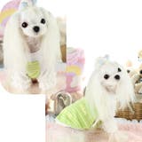 ドッグウェア カットソー Tシャツ | PlusNao | 詳細画像5