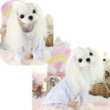 ドッグウェア カットソー Tシャツ | PlusNao | 詳細画像7