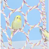 バードトイ 鳥の遊び場 ブランコ | PlusNao | 詳細画像2 