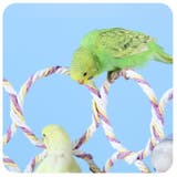 バードトイ 鳥の遊び場 ブランコ | PlusNao | 詳細画像4 