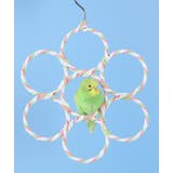 バードトイ 鳥の遊び場 ブランコ | PlusNao | 詳細画像5 