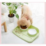 ペット用食器 フードボウル ウォーターボウル | PlusNao | 詳細画像3 