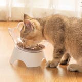 ペット用食器 斜め 傾斜 | PlusNao | 詳細画像3 
