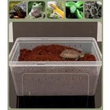 飼育ケース プラスチックケース プラケース | PlusNao | 詳細画像7 