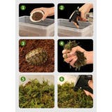 飼育ケース プラスチックケース プラケース | PlusNao | 詳細画像8 