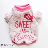 ドッグウェア セーター ニット | PlusNao | 詳細画像15