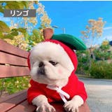 ペットウェア コスチューム 小型犬 | PlusNao | 詳細画像12 