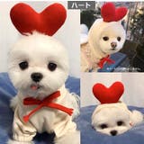 ペットウェア コスチューム 小型犬 | PlusNao | 詳細画像14 