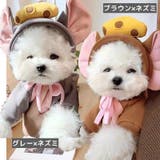 ペットウェア コスチューム 小型犬 | PlusNao | 詳細画像17 