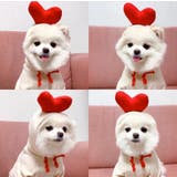ペットウェア コスチューム 小型犬 | PlusNao | 詳細画像5 