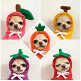 ペットウェア コスチューム 小型犬 | PlusNao | 詳細画像8 