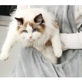 抱っこ用エプロン 猫 小型犬 | PlusNao | 詳細画像4