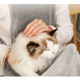 抱っこ用エプロン 猫 小型犬 | PlusNao | 詳細画像7