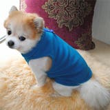 ドッグウェア ベスト フリース | PlusNao | 詳細画像7 