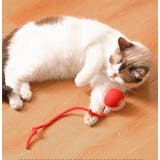 電動猫じゃらし ペット用おもちゃ 自動 | PlusNao | 詳細画像2 