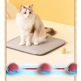 電動猫じゃらし ペット用おもちゃ 自動 | PlusNao | 詳細画像4 