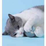 電動猫じゃらし ペット用おもちゃ 自動 | PlusNao | 詳細画像6 