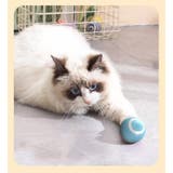電動猫じゃらし ペット用おもちゃ 自動 | PlusNao | 詳細画像8 