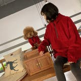 パーカー ペットウェア ペット服 | PlusNao | 詳細画像15 