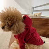 パーカー ペットウェア ペット服 | PlusNao | 詳細画像16 