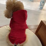 パーカー ペットウェア ペット服 | PlusNao | 詳細画像17 