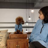 パーカー ペットウェア ペット服 | PlusNao | 詳細画像3 