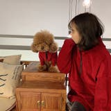 犬用パーカー ペットウェア ペット服 | PlusNao | 詳細画像12