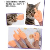 猫用おもちゃ ペット用おもちゃ ねこ | PlusNao | 詳細画像2 