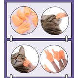 猫用おもちゃ ペット用おもちゃ ねこ | PlusNao | 詳細画像5 