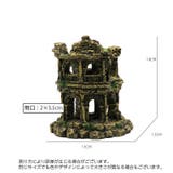 水槽用オブジェ コロッセオ風 廃墟風 | PlusNao | 詳細画像5