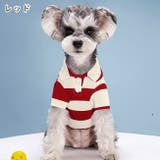 ペット用ポロシャツ イヌ用ポロシャツ ペット用トップス | PlusNao | 詳細画像10