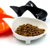 フードボウル 猫用食器 犬用食器 | PlusNao | 詳細画像5