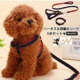ハーネスリード 首輪 3点セット | PlusNao | 詳細画像1 
