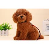 ハーネスリード 首輪 3点セット | PlusNao | 詳細画像4 