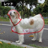 ドッグウェア 犬用レインコート 雨合羽 | PlusNao | 詳細画像17 
