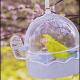 鳥用ケージ 鳥用キャリー ポータブルケージ | PlusNao | 詳細画像3